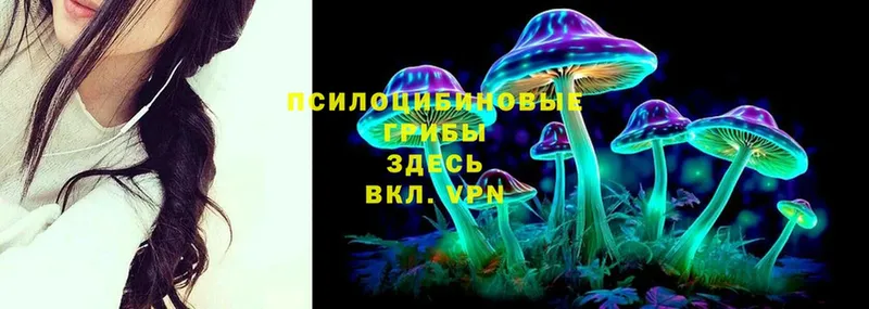 как найти закладки  Лысьва  Псилоцибиновые грибы Psilocybine cubensis 